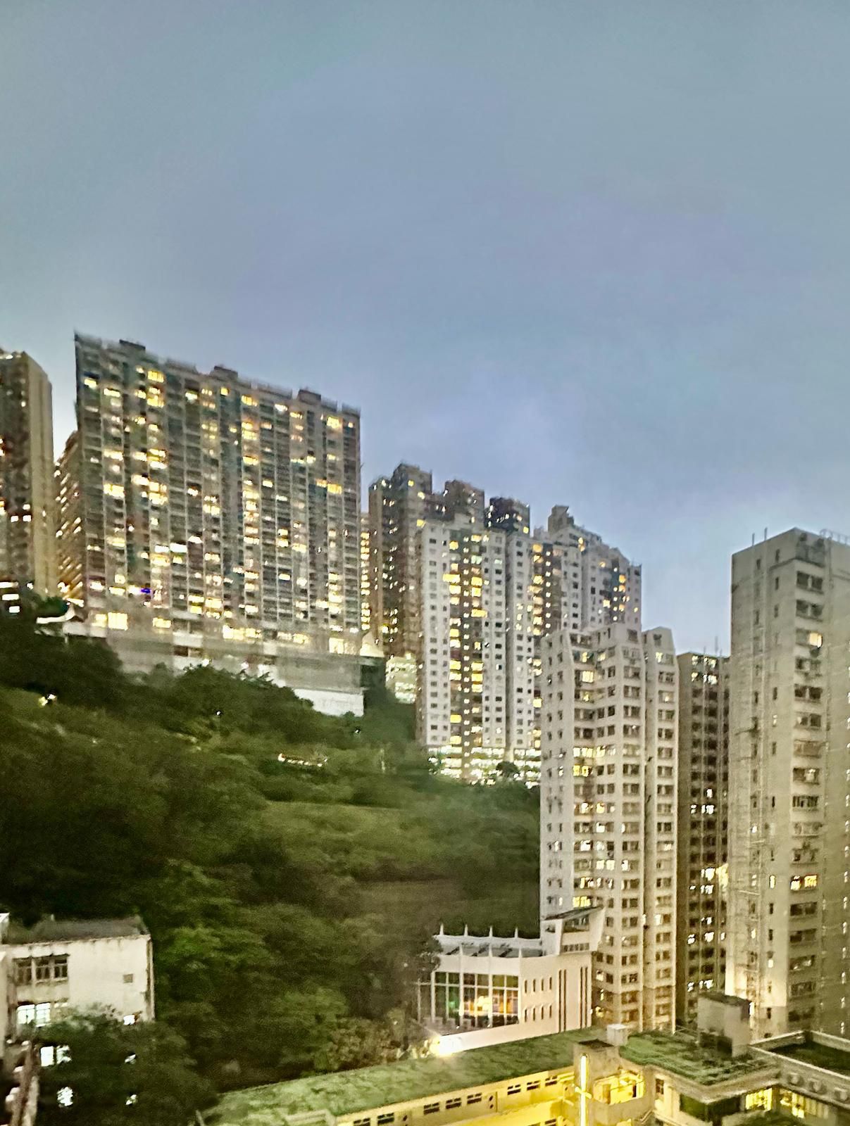 楓林花園